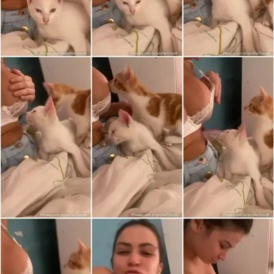 Mc Pipokinha sensualiza na companhia dos lindos gatinhos Mc Pipokinha sensualiza na companhia dos lindos gatinhos